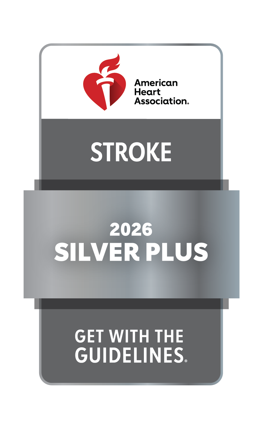 AHA stroke silver plus